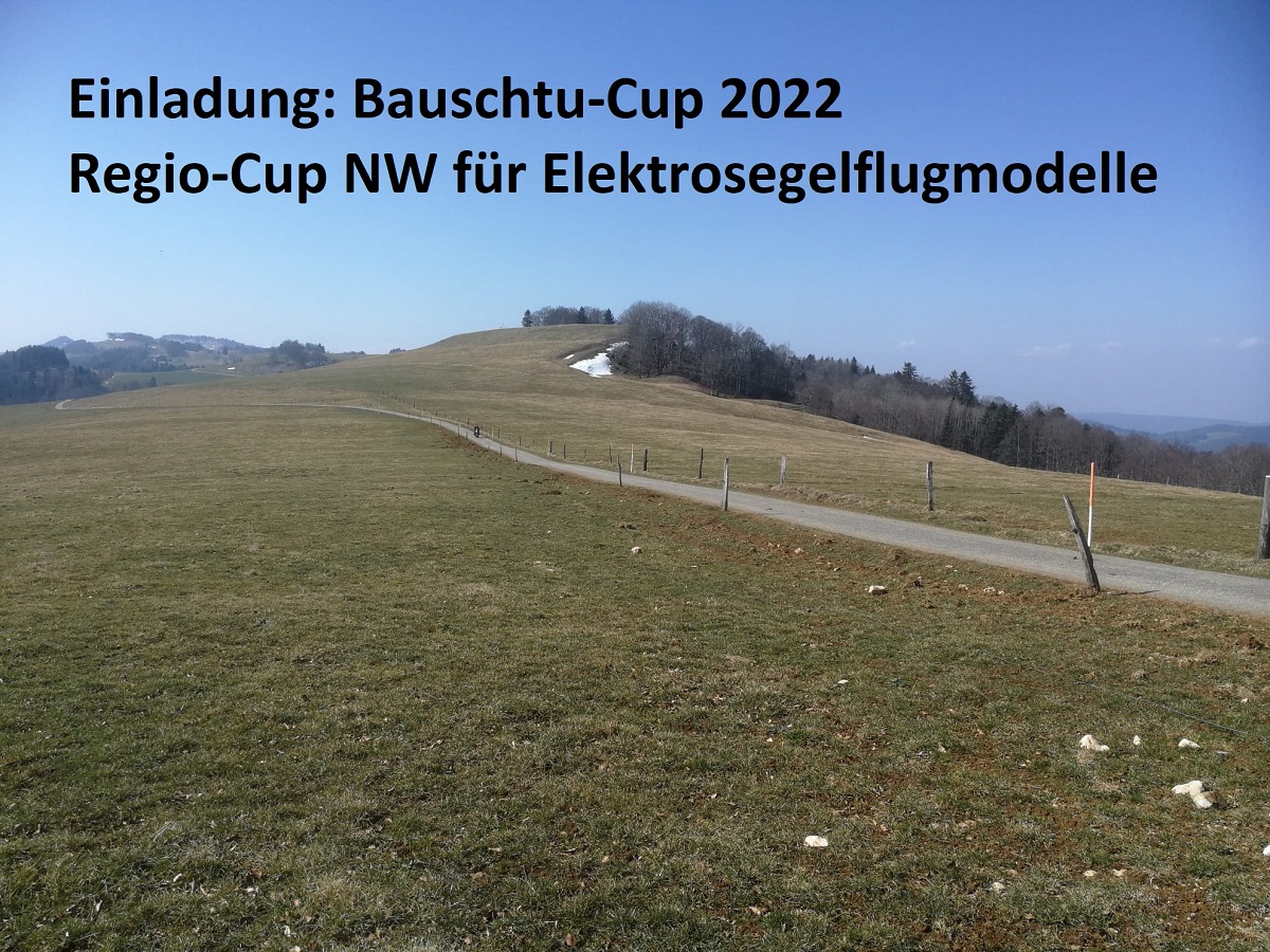 Bauschtu-Cup / Regio-Cup NW für Elektrosegelflugmodelle